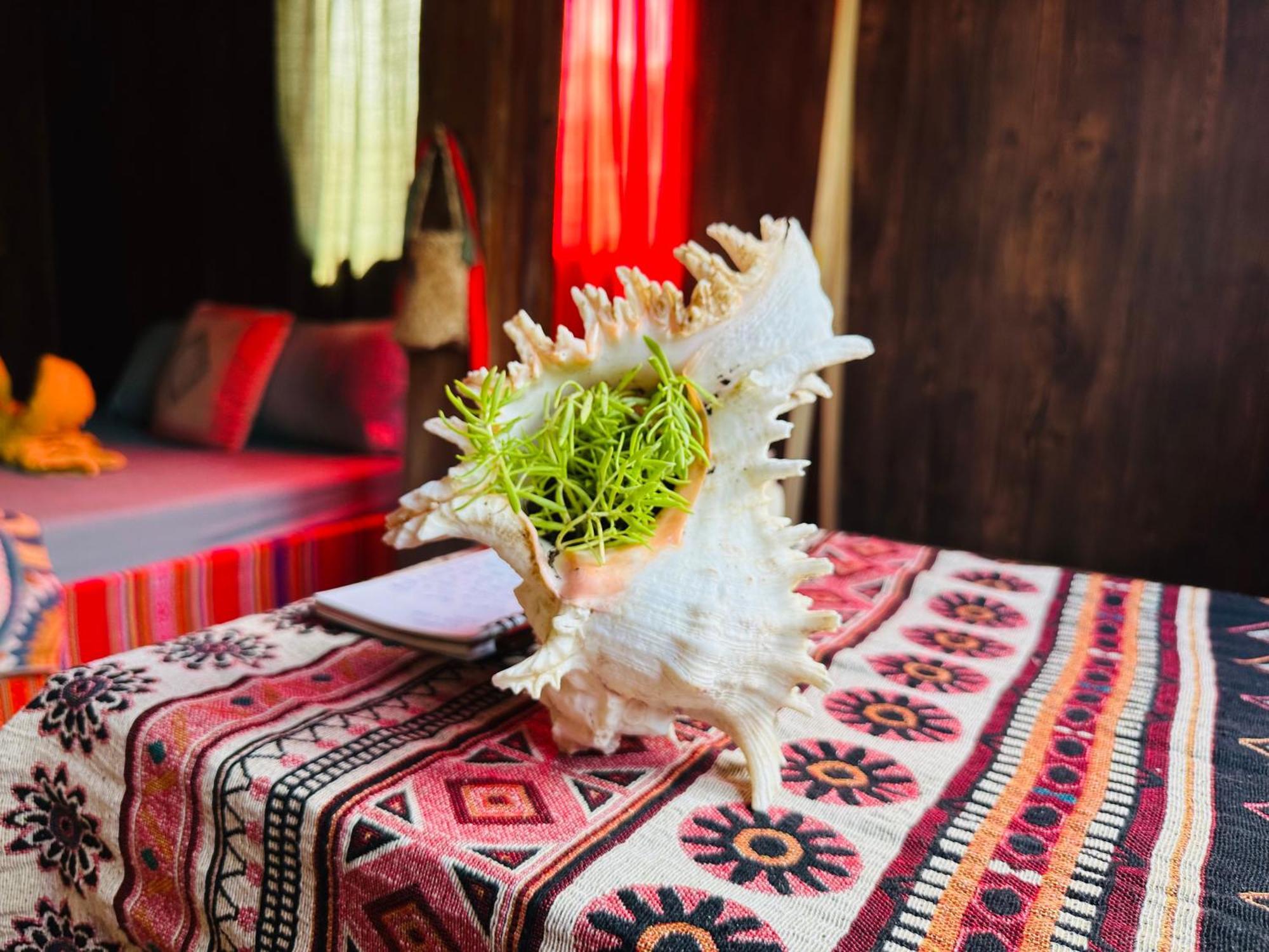 Wild Orchid- Lan Home Lang Cac Экстерьер фото